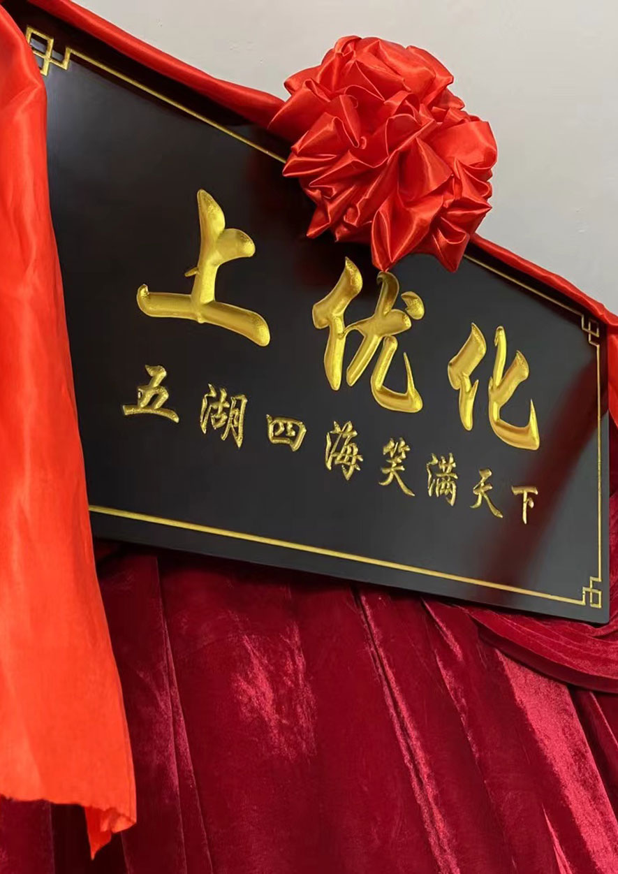 上优化logo